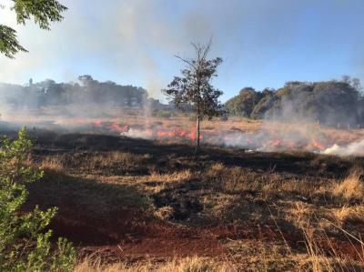 IncÃªndio afeta moradores do Bairro Ãgua Verde e arredores em Laranjeiras do Sul 